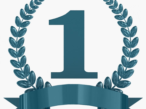 1. Preis-Trophäe 3D Modell