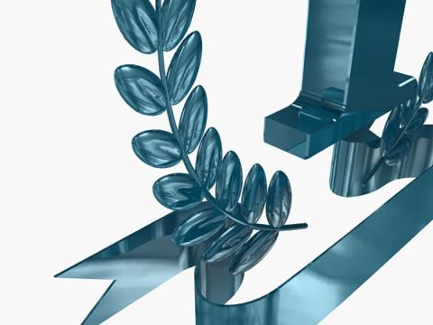 1. Preis-Trophäe 3D Modell