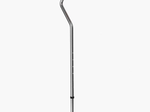 걷는 지팡이 3D 모델