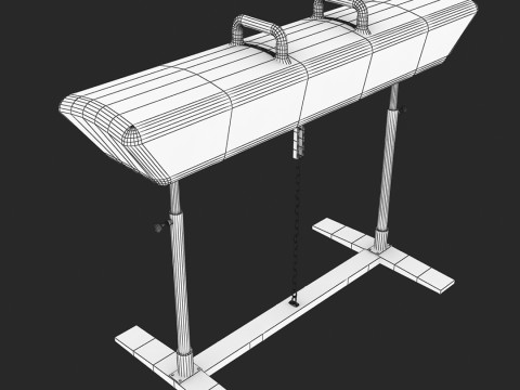Gymnastics Pommel Horse 3D Model