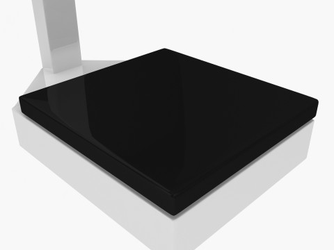 Physician Scale 3D Model