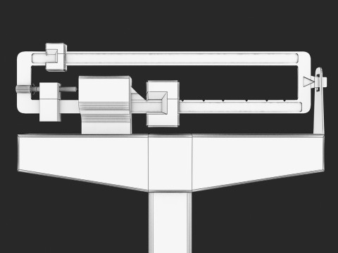 Physician Scale 3D Model