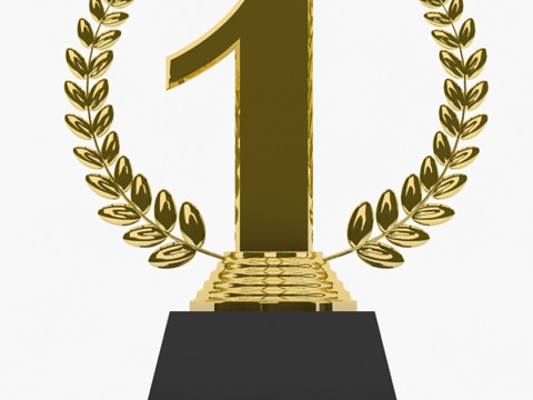 Trofeo del vincitore Modello 3D