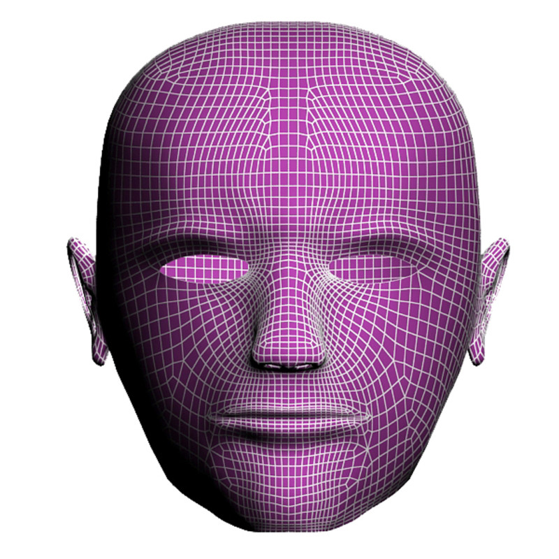 남자 신체 얼굴 3D 모델 .c4d .max .obj .3ds .fbx .stl .blend 