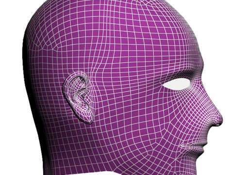 남자 신체 얼굴 3D 모델