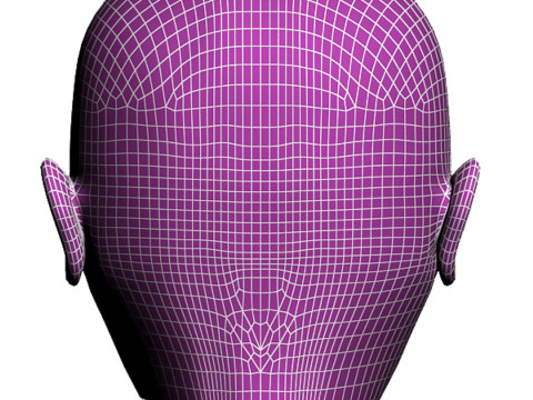 남자 신체 얼굴 3D 모델