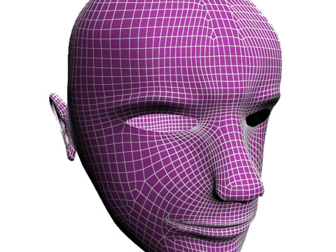 남자 신체 얼굴 3D 모델