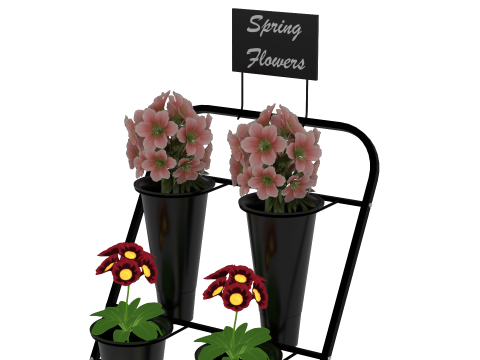 Flower Display Stand 3D Model