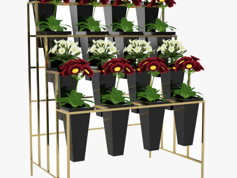 Стенд для выставки цветов 3D Модель