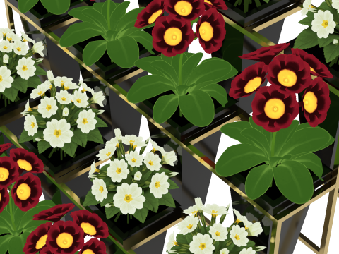 Flower Display Stand 3D Model