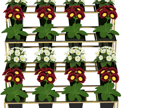 Flower Display Stand 3D Model