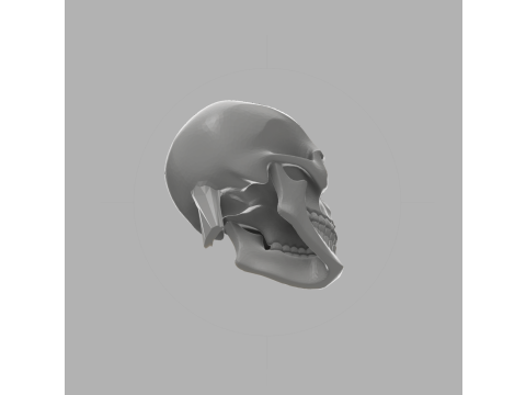 Skull Candle Holder - Gothic Decor 3D 打印模型