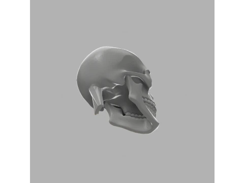 Skull Candle Holder - Gothic Decor 3D Print Model