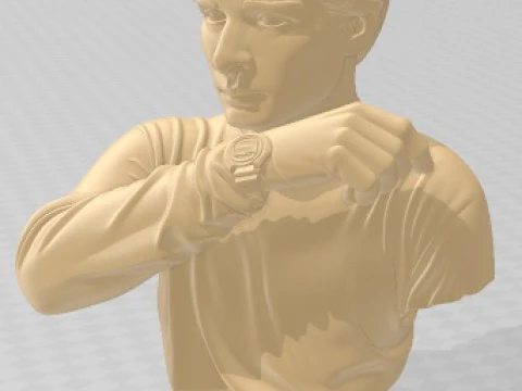 Will Bust - Stranger Things 3D Print Model