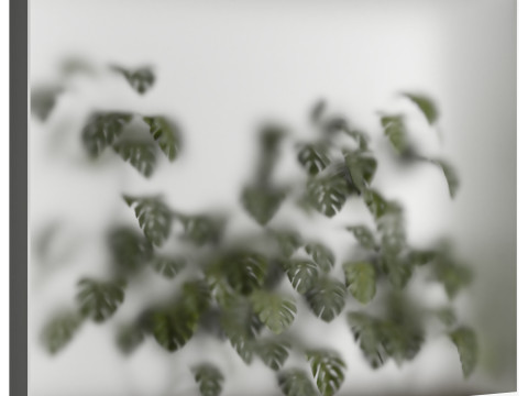 Indoor Plant 670 3D Model
