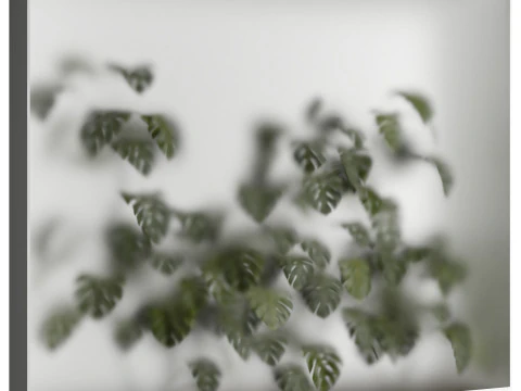 Indoor Plant 670 3D Model