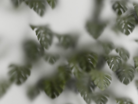 Indoor Plant 670 3D Model