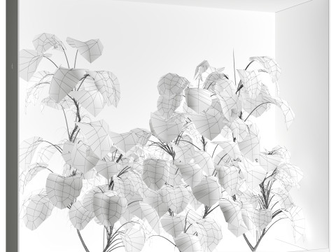 Indoor Plant 670 3D Model
