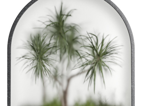 Indoor Plant 669 3D Модель