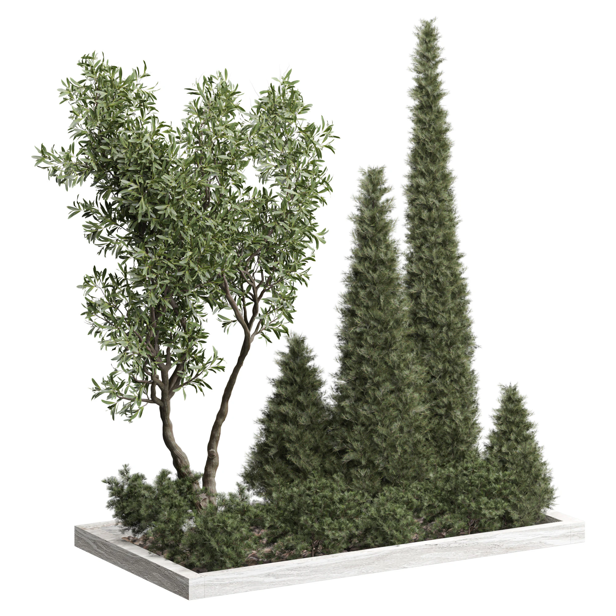 Pine Olive Shrub Ensemble Outdoor Plant 220 3D Model .c4d .max .obj .3ds .fbx .stl .blend