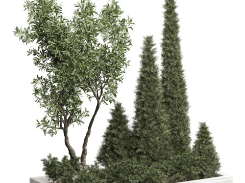 Ансамбль кустарников из сосны и оливы 220 3D Модель