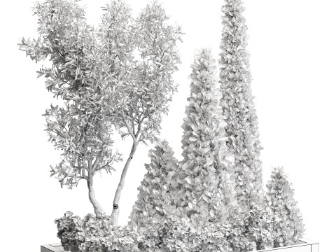 Pine Olive Shrub Ensemble Outdoor Plant 220 Model 3D