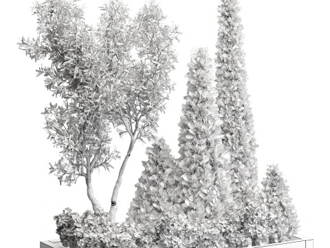 Pine Olive Shrub Ensemble Outdoor Plant 220 3D Model
