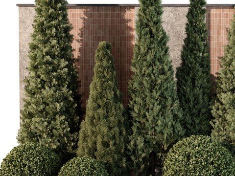 Outdoor Plant 219 3D Model