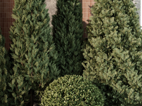 Outdoor Plant 219 3D Model