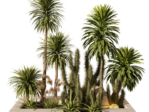 Набор тропических кактусов и пальм для уличного освещения 218 3D Модель