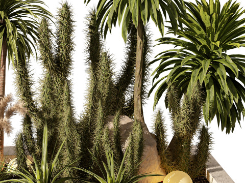Tropical Cactus Palm Set Outdoor Plant 218 3D मॉडल