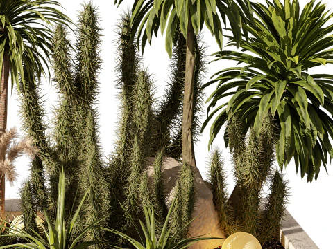 Набор тропических кактусов и пальм для уличного освещения 218 3D Модель