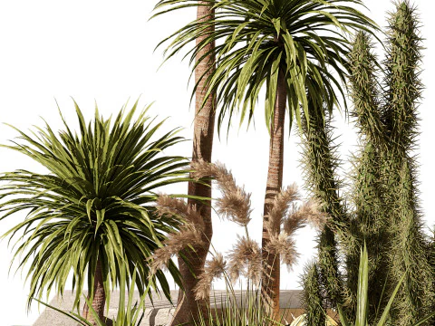 Набор тропических кактусов и пальм для уличного освещения 218 3D Модель