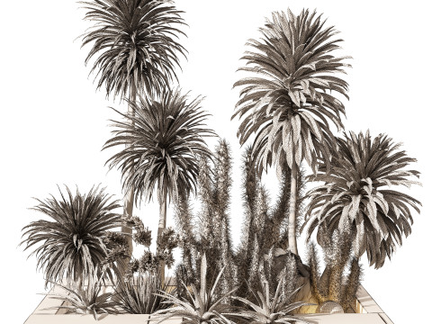 Tropical Cactus Palm Set Outdoor Plant 218 3D मॉडल