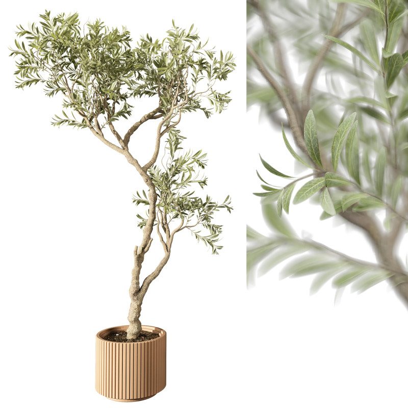 Indoor Plant 668 3D Model .c4d .max .obj .3ds .fbx .stl .blend