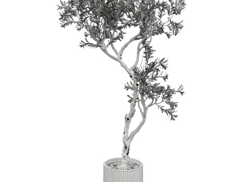 Indoor Plant 668 3D Model