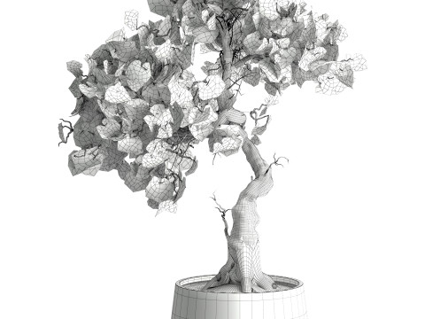 Indoor Plant 667 3D Model