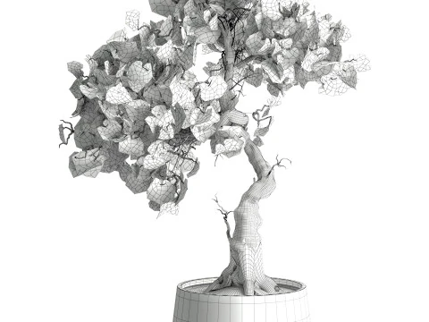 Indoor Plant 667 3D Model