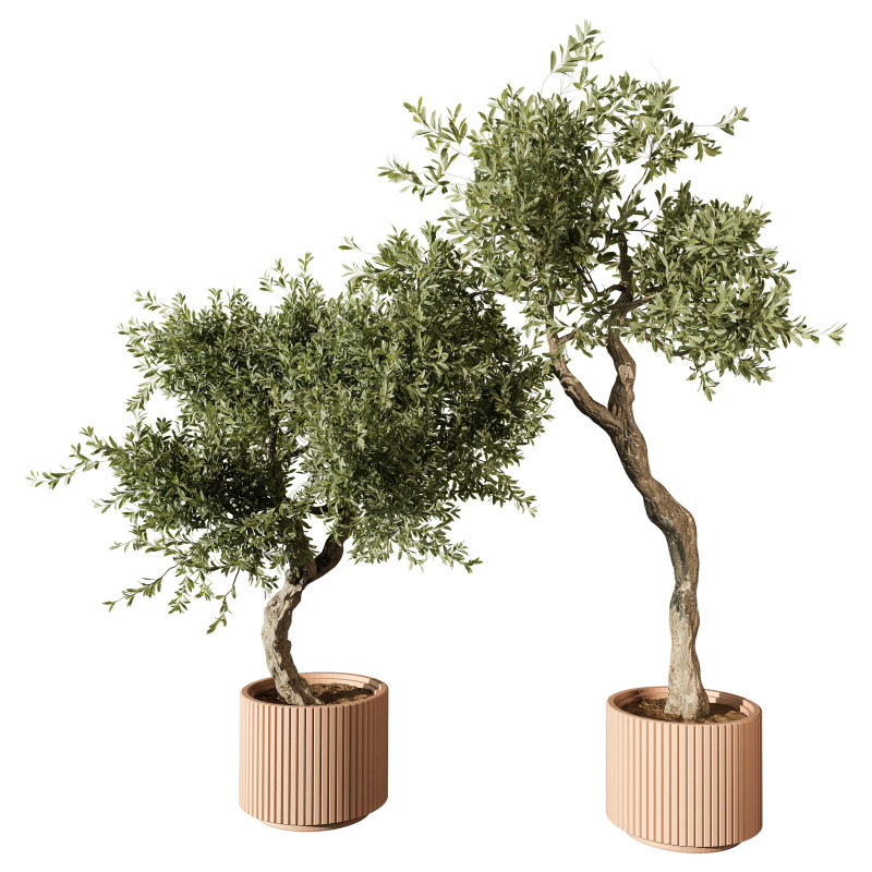 Indoor Plant 666 3D Model .c4d .max .obj .3ds .fbx .stl .blend 