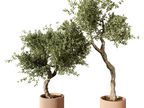 Kapalı Bitki 666 3D Model