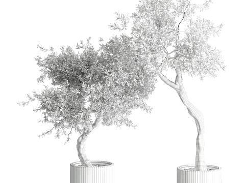 Indoor Plant 666 3D Model