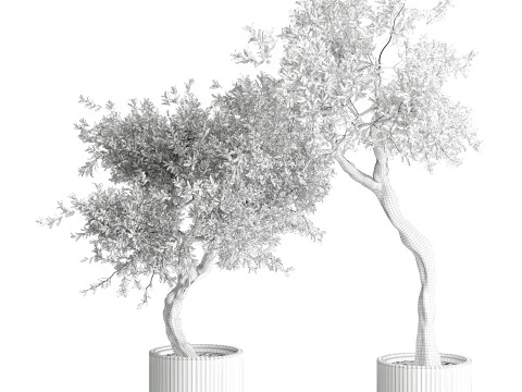 Indoor Plant 666 3D Model