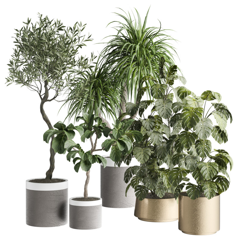 Indoor Plant 665 3D Модель .c4d .max .obj .3ds .fbx .stl .blend