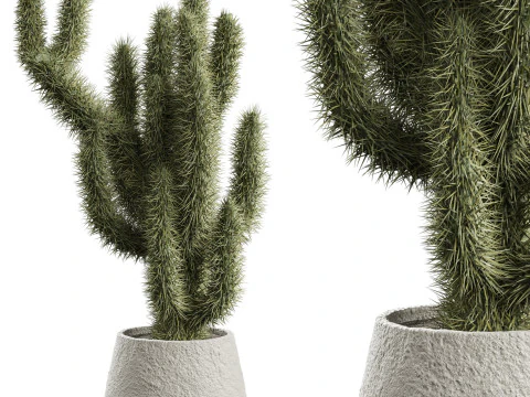 Planta de interior de cacto 664 Modelo 3D