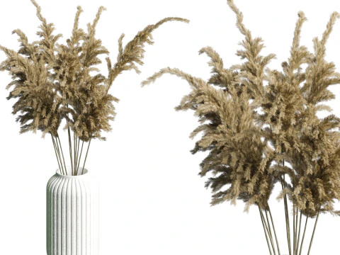 DecorativeSetVol14 3D Model