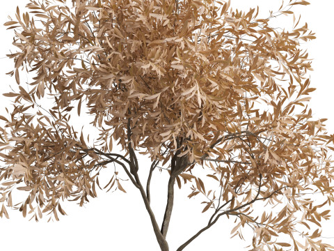 DecorativeSetVol17 3D Model
