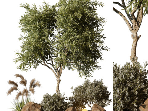 OutdoorPlant194 Model 3D