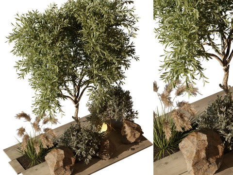 OutdoorPlant194 3D Model