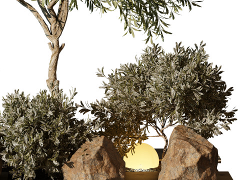 OutdoorPlant194 3D Model