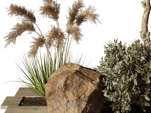 OutdoorPlant194 3D Model